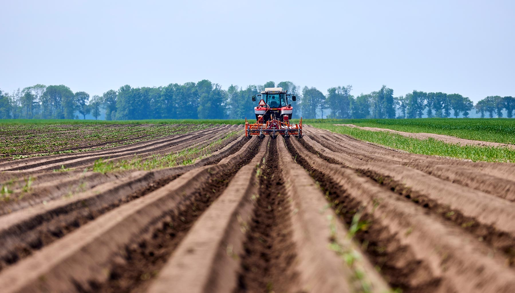Roter Traktor fährt auf einem Feld und bereitet den Boden vor; Johanning AGRAR ihr nachhaltiger Landwirtschaftsbetrieb