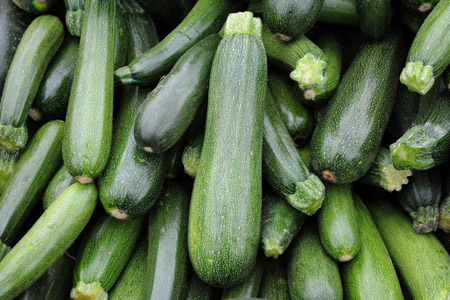 viele Zucchinis liegen nebeneinander, regionales Gemüse von Johanning Agrar